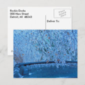 Carte Postale Malibu Icicles (Devant / Derrière)
