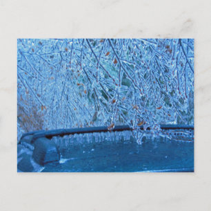 Carte Postale Malibu Icicles