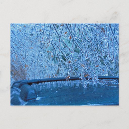 Carte Postale Malibu Icicles (Devant)