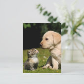 Carte Postale malice et malsain (Debout devant)