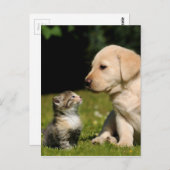 Carte Postale malice et malsain (Devant / Derrière)