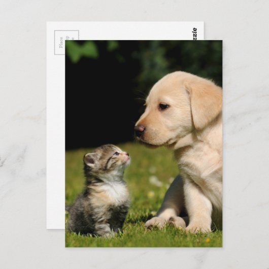 Carte Postale malice et malsain (Devant / Derrière)