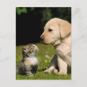 Carte Postale malice et malsain (Devant)