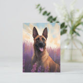 Carte Postale Malinois belge en Lavender champ (Debout devant)