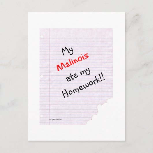 Carte Postale Malinois Belge Mange Mes devoirs (Devant)