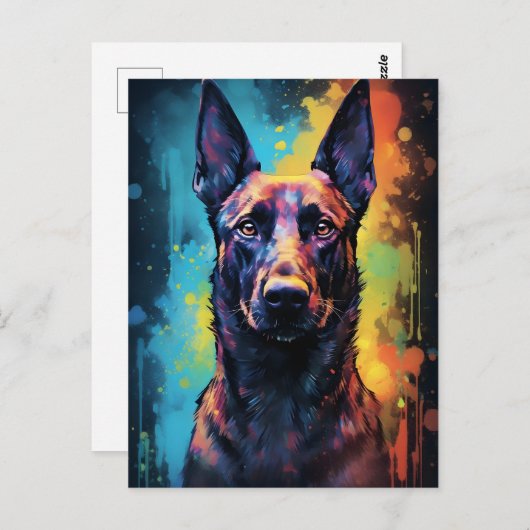 Carte Postale Malinois belges colorés (Devant / Derrière)