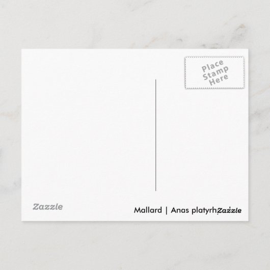 Carte Postale Mallard (Dos)