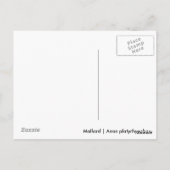 Carte Postale Mallard Couple (Dos)