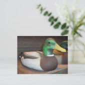 Carte Postale Mallard Decoy (Debout devant)