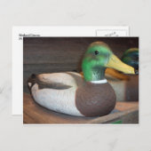 Carte Postale Mallard Decoy (Devant / Derrière)