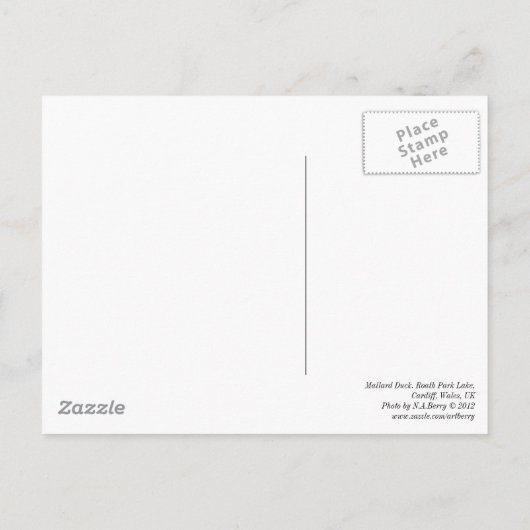 Carte Postale Mallard Duck (Dos)