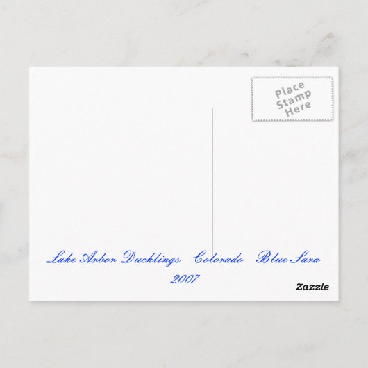 Carte Postale Mallard Ducklings (Dos)