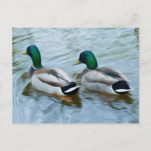 Carte Postale Mallard Ducks