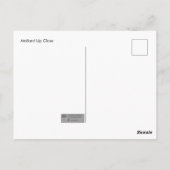 Carte Postale Mallard haut près (Dos)