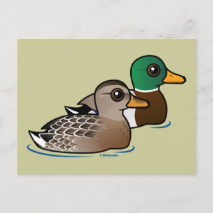 Carte Postale Mallard Pair