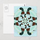 Carte Postale Mallards Galore ! (Devant / Derrière)