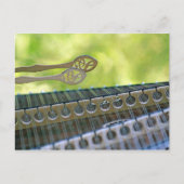 Carte Postale Mallets Hammer Dulcimer (Devant)