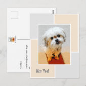 Carte postale "Malshi chien vous manque" (Devant / Derrière)