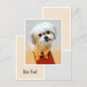 Carte postale "Malshi chien vous manque" (Devant)
