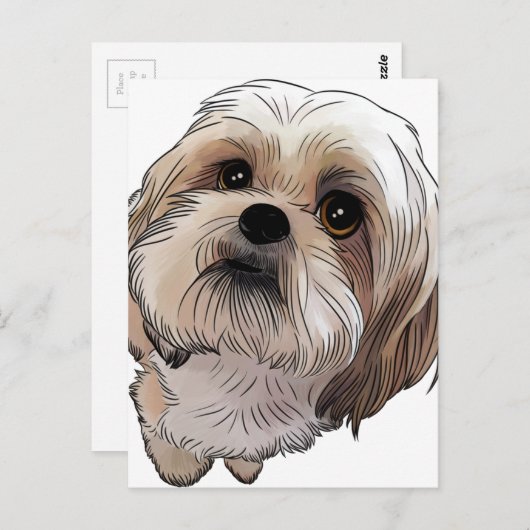 Carte Postale Malshi Mal-shi (Devant / Derrière)