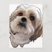 Carte Postale Malshi Mal-shi (Devant)