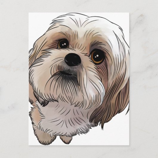 Carte Postale Malshi Mal-shi (Devant)