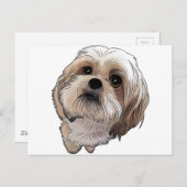 Carte Postale Malshi Mal-shi (Devant / Derrière)