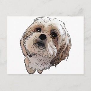 Carte Postale Malshi Mal-shi