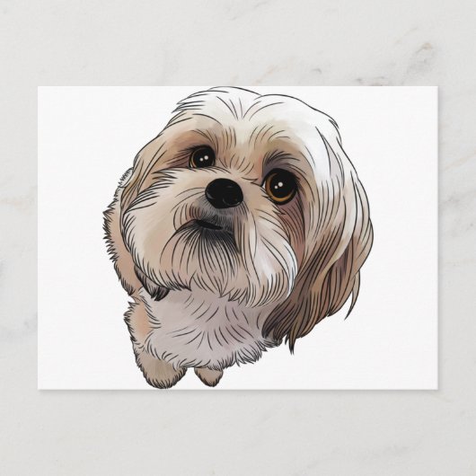 Carte Postale Malshi Mal-shi (Devant)