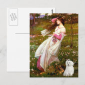 Carte Postale MALTAIS 10 - Fleurs de vent (Devant / Derrière)