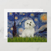 Carte Postale Maltais 11 - Nuit étoilée (Devant / Derrière)