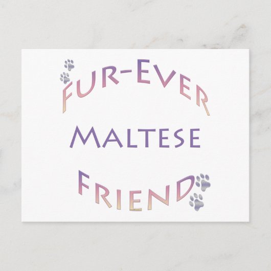 Carte Postale Maltais Furever (Devant)
