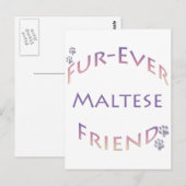 Carte Postale Maltais Furever (Devant / Derrière)