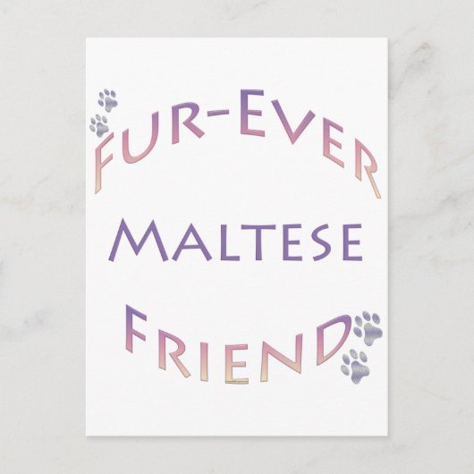 Carte Postale Maltais Furever (Devant)