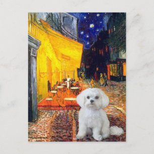 Carte Postale Maltais (R) - Terrasse Café