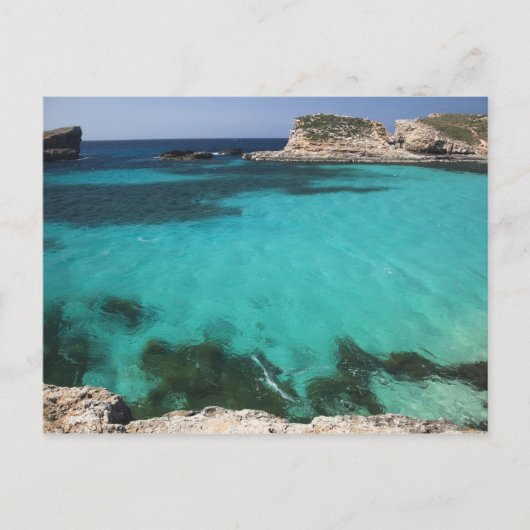 Carte Postale Malte, île de Comino, The Blue Lagoon (Devant)