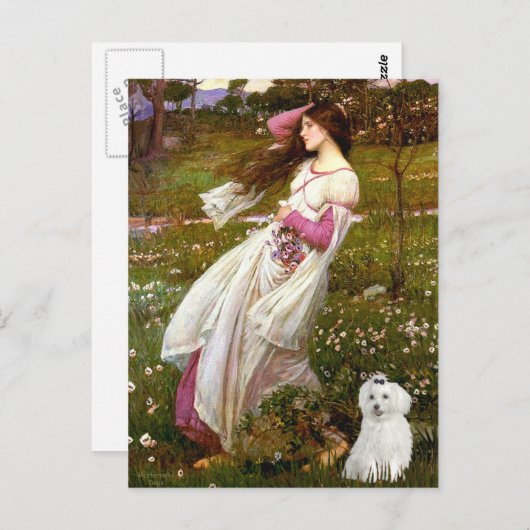 Carte Postale MALTESE 10 - Fleurs à vent (Devant / Derrière)