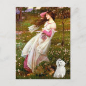 Carte Postale MALTESE 10 - Fleurs à vent (Devant)