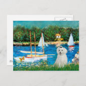 Carte Postale MALTESE 10 - Voiliers (Devant / Derrière)