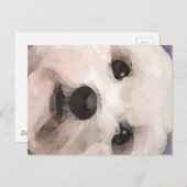 Carte Postale Maltipoo (Devant / Derrière)