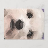 Carte Postale Maltipoo (Devant)