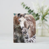 Carte Postale Mama & Baby Llama Kiss (Debout devant)