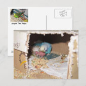 Carte Postale Mama Dexter Et Bébé Rufus (Devant / Derrière)