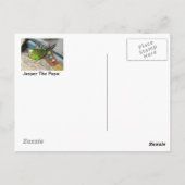 Carte Postale Mama Dexter Et Bébé Rufus (Dos)