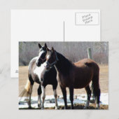 Carte Postale maman (Devant / Derrière)