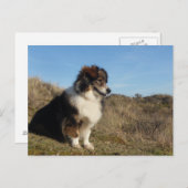 Carte Postale Maman (Devant / Derrière)