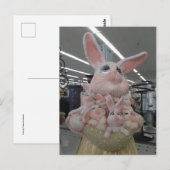 Carte Postale Maman Bunny (Devant / Derrière)