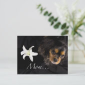 Carte Postale Maman...Cavalier King Charles Spaniel (Debout devant)