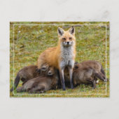 Carte Postale Maman doit être comme (Devant)