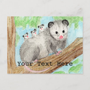 Carte Postale Maman d'Opossum